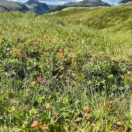 Apartman Sjarmerende I Sirdal Haugen